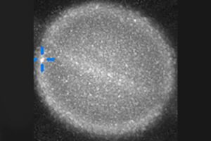 Has Saturn Been Struck Astronomers Race to Uncover the Truth