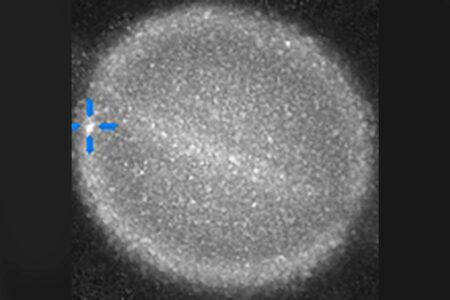 Has Saturn Been Struck? Astronomers Race to Uncover the Truth Has Saturn Been Struck Astronomers Race to Uncover the Truth