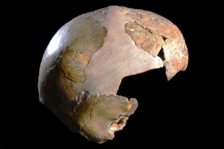 Hybrid Skull May Belong to Child of Neanderthal and Homo