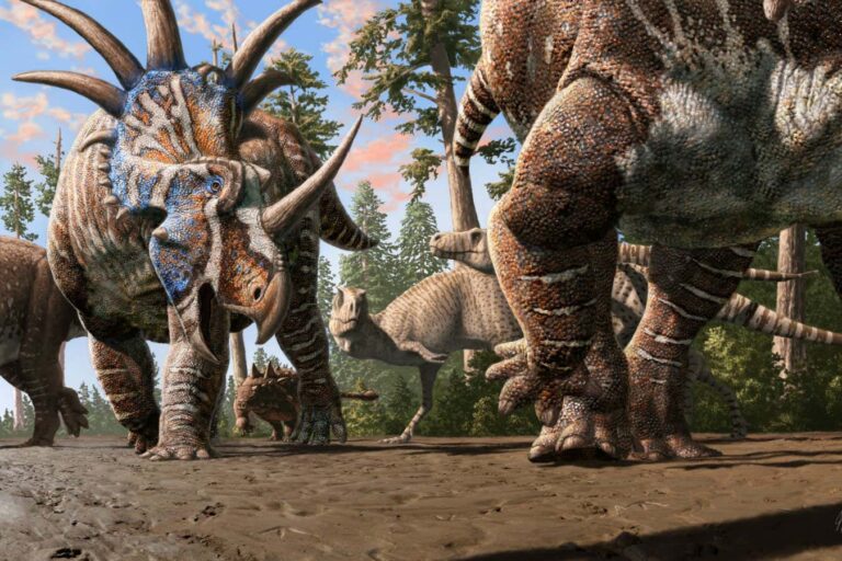 Incredible Truck Collection Implies Different Dinosaurs Grazing Together Incredible Truck Collection Implies Different Dinosaurs Grazing Together
