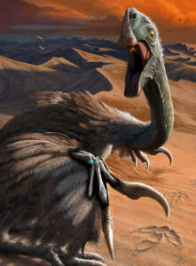 Keylistbones Emerged in Bird Ancestors Millions of Years Earlier Than