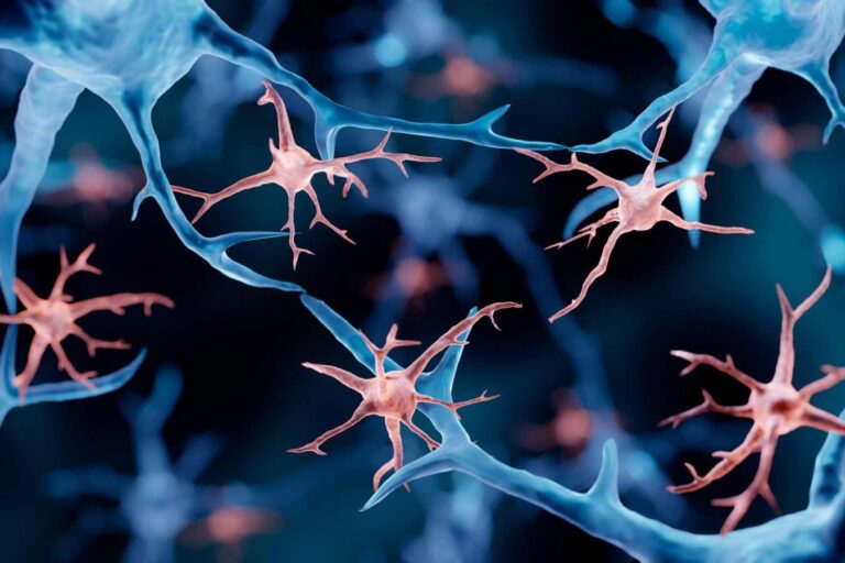 Life-Saving Treatments for Fatal Genetic Disorders Through Brain Immune Cell Replacement Life Saving Treatments for Fatal Genetic Disorders Through Brain Immune Cell