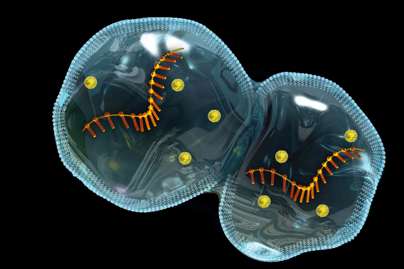 Micrometric Protocells and Self Organization Insights into the Origin of Life