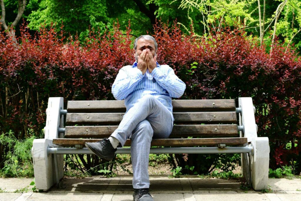 New Molecular Shield Offers Relief from Hay Fever Symptoms in