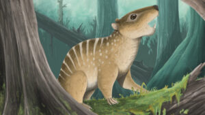 Newly Discovered Polyiron Duct Mammal Species in the UK