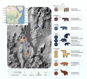 Paleontologists Discover Ancient Proteins in Mammalian Tooth Enamel from 18