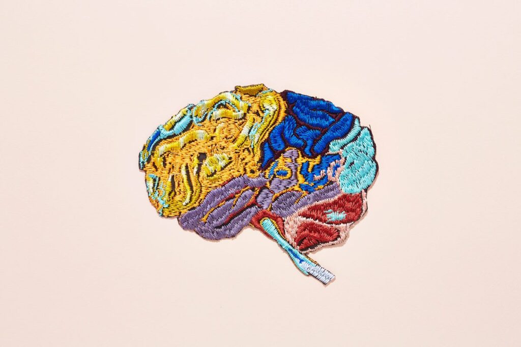 Study Reveals Your Brains Biological Age Can Forecast Your Lifespan