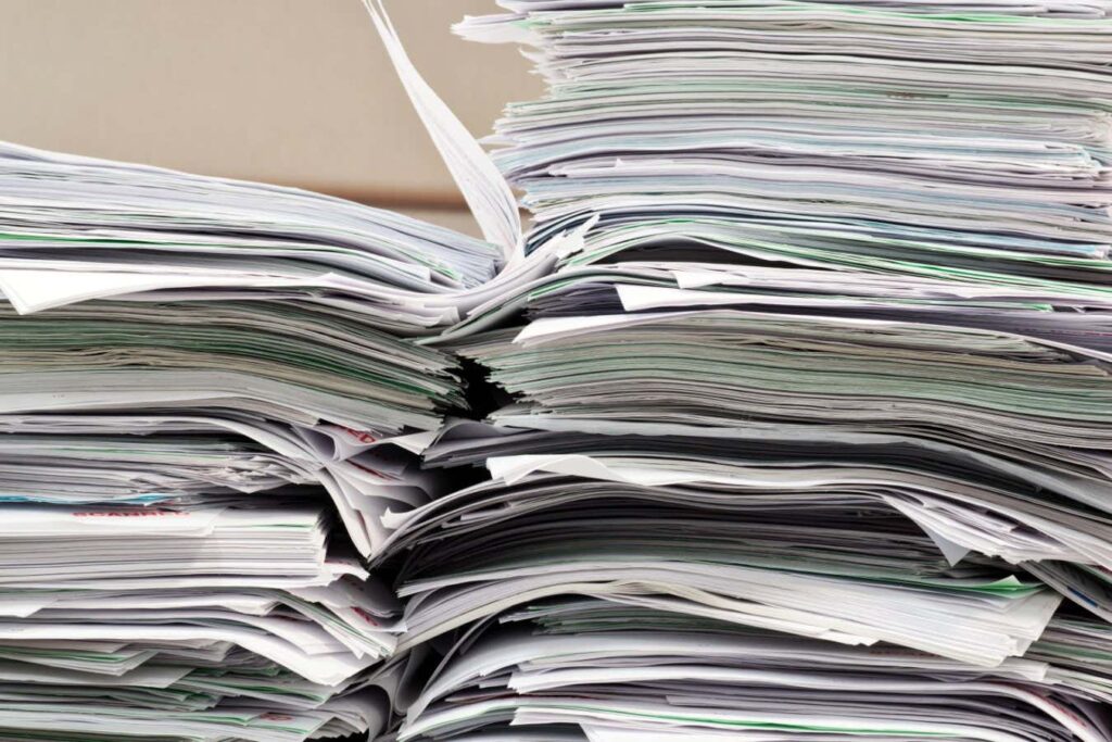 The Impact of Government AI Usage on Democracy The Impact of Government AI Usage on Democracy