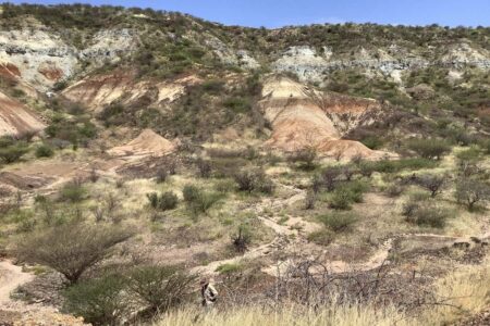 The Oldest Protein, Dating Back 18 Million Years, Discovered in Ancient Teeth The Oldest Protein Dating Back 18 Million Years Discovered in