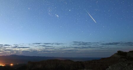 This Summer the Night Sky Dazzles with Shooting Stars Essential