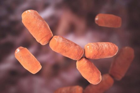 Unexpected Harmless Microorganisms May Significantly Influence Colorectal Cancer