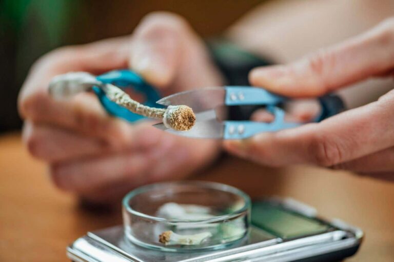 A Single Dose of Psilocybin May Be Sufficient to Rewire