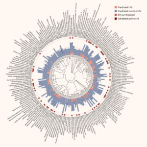 AI Discovers Novel Molecules with Potential Antibacterial Properties in Archaea