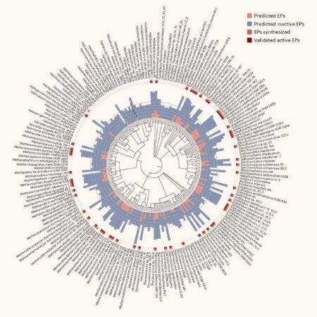 AI Discovers Novel Molecules with Potential Antibacterial Properties in Archaea