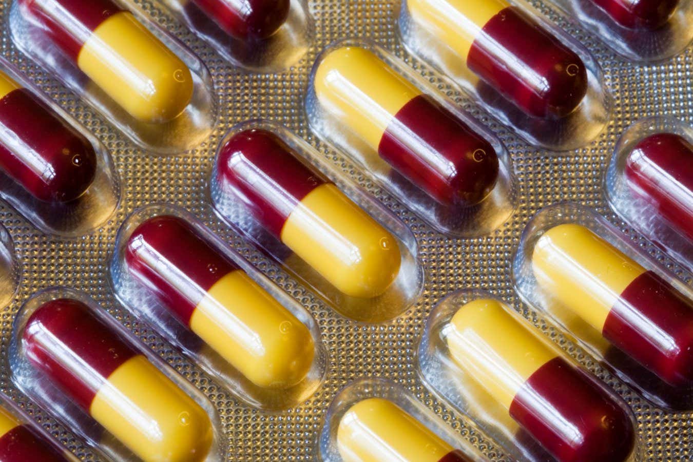 Antibiotics Generally Do Not Raise the Risk of Autoimmune Disorders