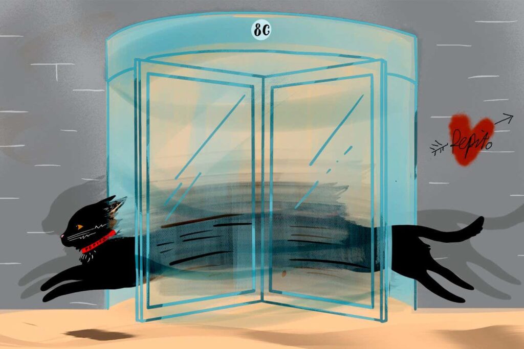 Are There Any Cat Cryptocurrency Enthusiasts Out There