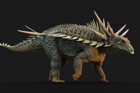 Armored Dinosaurs Crazy Spikes Beyond Just Defense