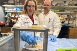 Asthma Medications Can Safeguard Against Life Threatening Allergic Reactions