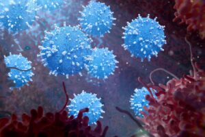 Bacteria Enhance the Effectiveness of Cancer Killing Viruses