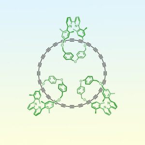 Chemists Incorporate Novel Carbon Homologs