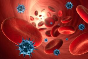 Covid 19 Affects Blood Vessel Aging Particularly in Women