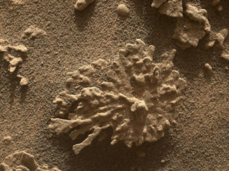 Curiosity Discovers Coral Like Rocks on Mars