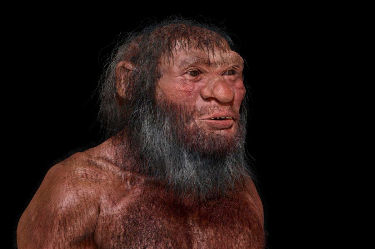 Lacking Name Denisovans: Exploring Why Mysterious Ancient Groups Lack Species Names ...