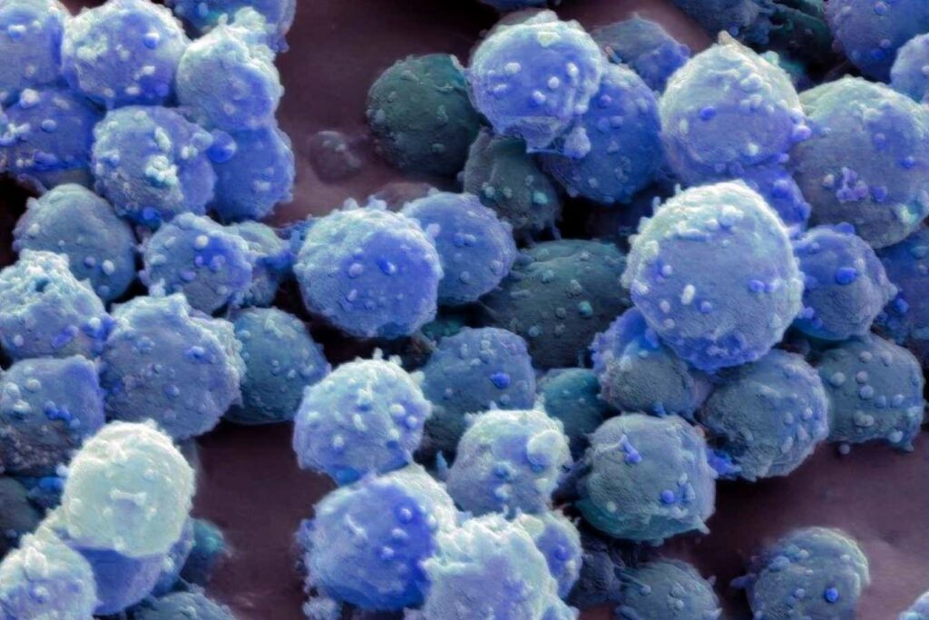 Discover How Frozen Microorganisms Survive for 100000 Years