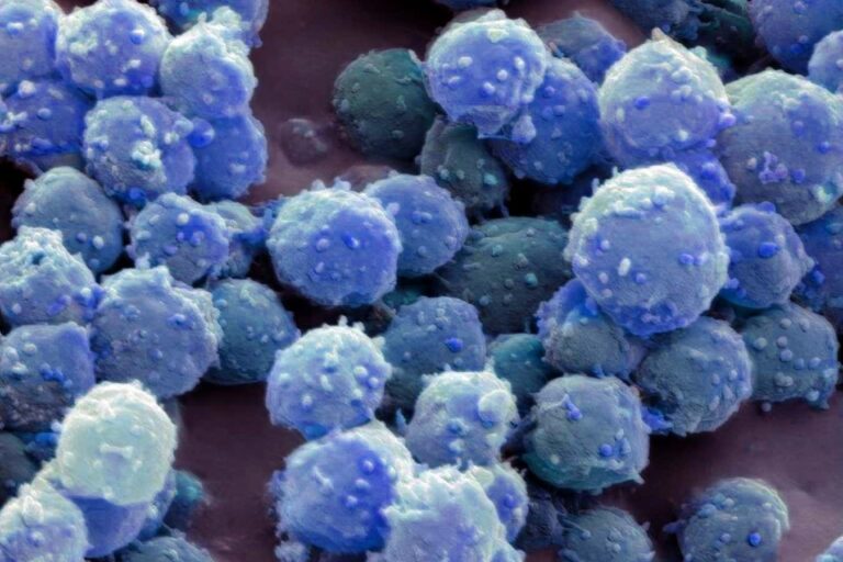 Discover How Frozen Microorganisms Survive for 100000 Years