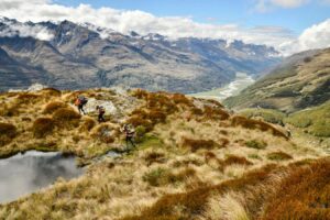 Document the Struggle to Safeguard Endangered Birds in New Zealand