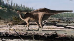 Early Cretaceous Iguanodontian Dinosaurs Could Strike Their Sails