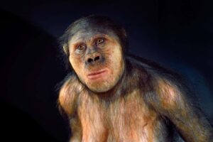 Fossilized Teeth Might Belong to a Newly Discovered Species of