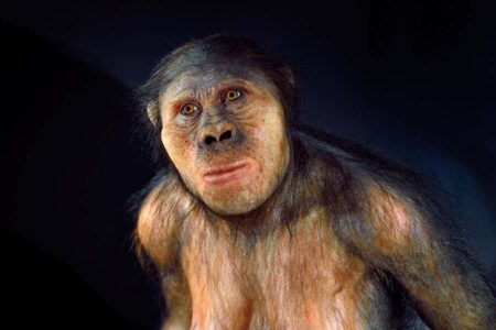 Fossilized Teeth Might Belong to a Newly Discovered Species of