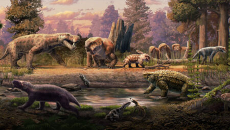 Fossils from Tanzania and Zambia Illuminate the Permian Mass Extinction