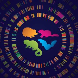 Hidden Superpowers of Hibernating Animals Might Be Within Human DNA