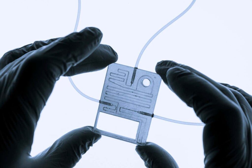 How the World Works A Compelling Case for Becoming an