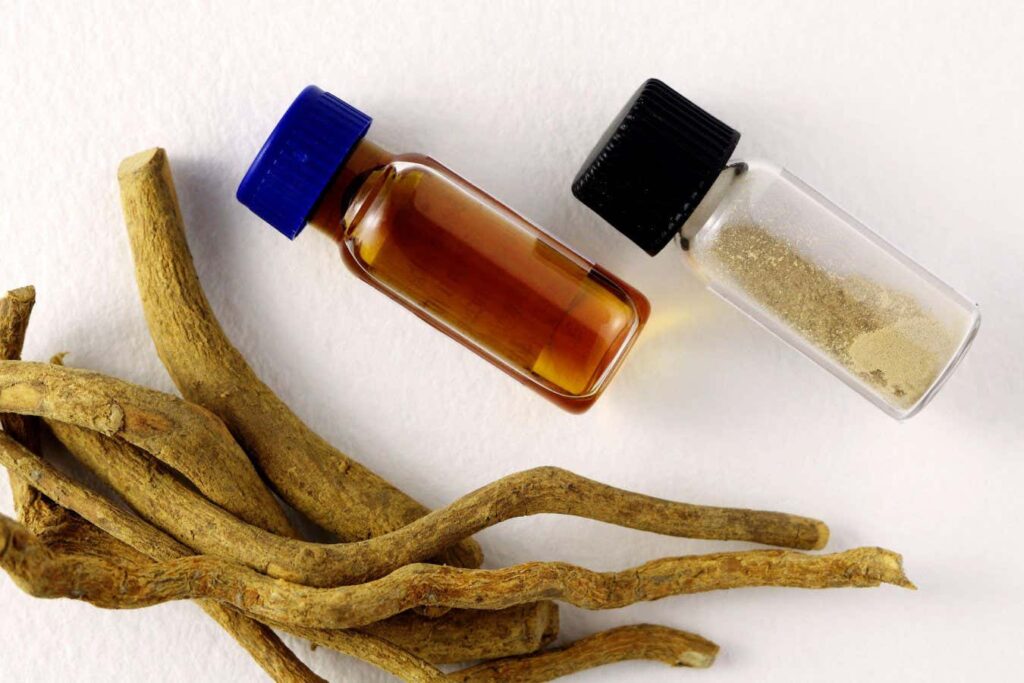 Ibogaine: A Psychedelic Drug That May Alleviate PTSD by Slowing Brain Waves Ibogaine A Psychedelic Drug That May Alleviate PTSD by Slowing