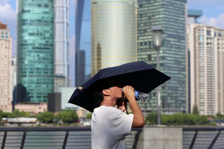 In 2024, a Record Surge in Hot and Humid Days Recorded In 2024 We Experienced a Record High of Dangerous Hot