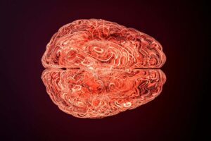 Innovative Perspectives on Brain Health Could Lead to Essential New