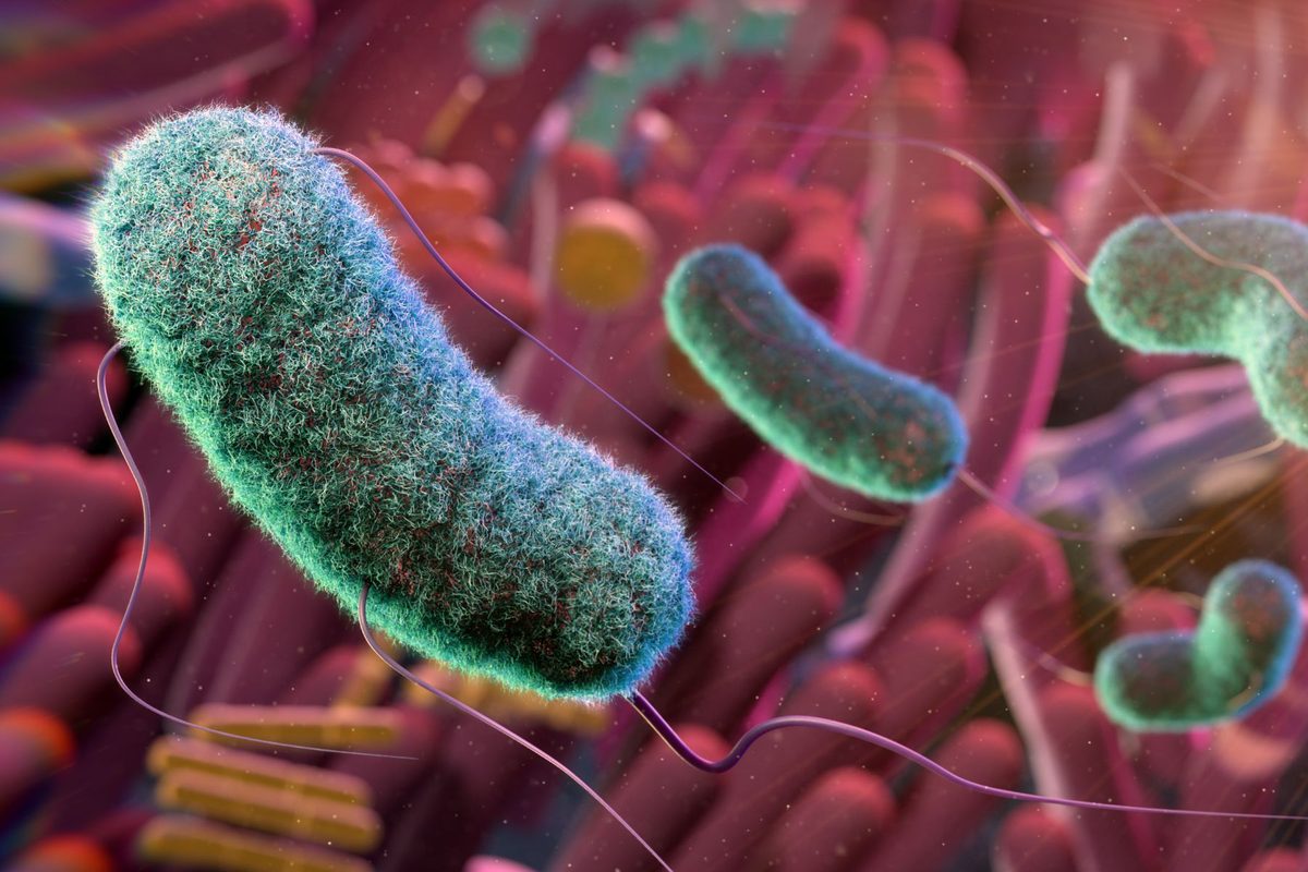 Introducing the Smart Pill Enabling Doctors to Examine and Treat