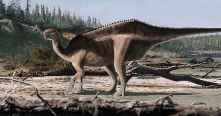 New Dinosaur Species with a Sail Found on the Isle