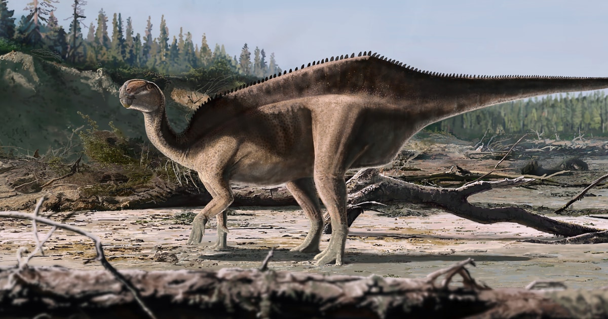 New Dinosaur Species with a Sail Found on the Isle