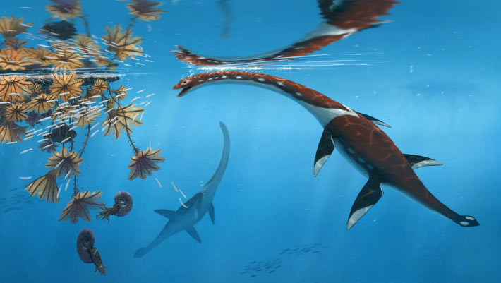 Paleontologists Unveil a New Species of Plesiosaurus Paleontologists Unveil a New Species of Plesiosaurus
