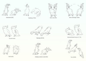 Research Shows Cocoats Have a Repertoire of At Least 30