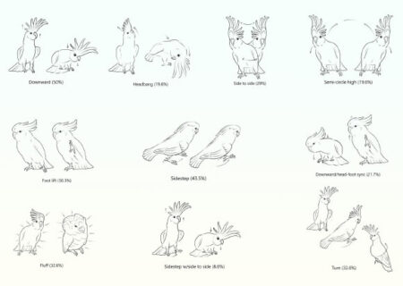 Research Shows Cocoats Have a Repertoire of At Least 30