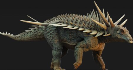 Scientists Unearth Fossils of Armored Spicomeras in Morocco Scientists Unearth Fossils of Armored Spicomeras in Morocco