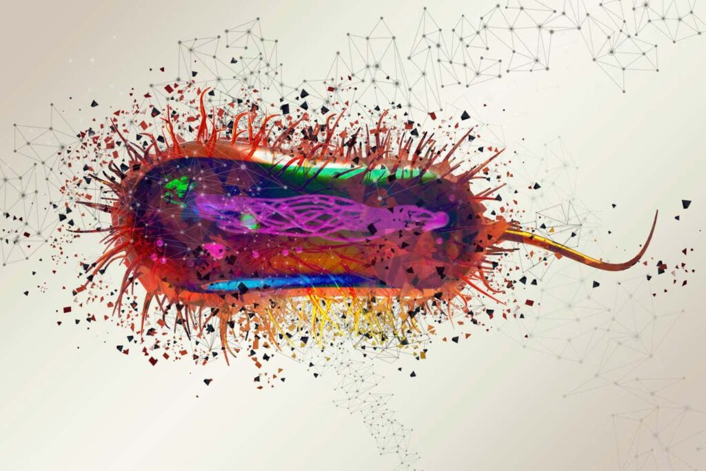 The E. coli Genome Redesigned with 101,000 DNA Modifications The E coli Genome Redesigned with 101000 DNA Modifications