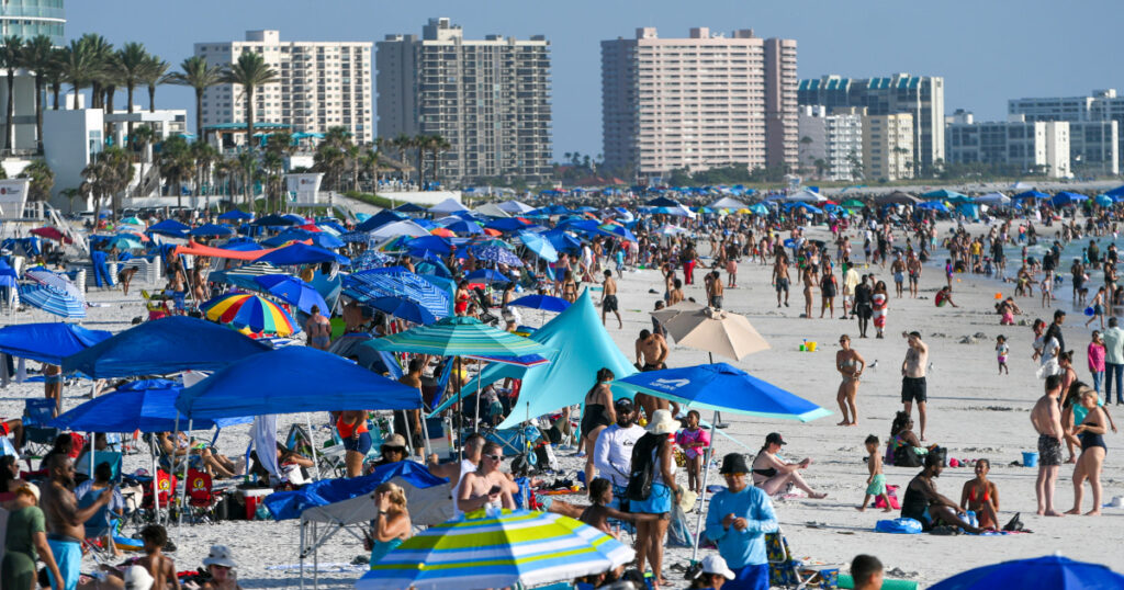 The Rising Threat of Carnivorous Bacteria in Florida and Louisiana