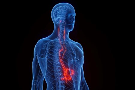 US Approves Vagus Nerve Stimulation for Arthritis Treatment