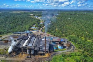 Under 50 of Farm Grown Calories Make It to Our Plates